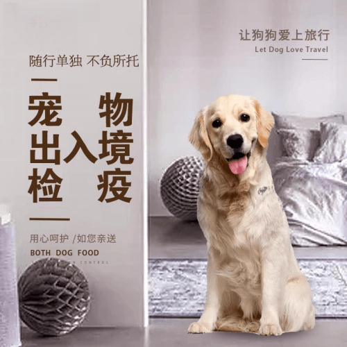 达州市宠物托运到哥伦比亚猫狗宠物入境规定和