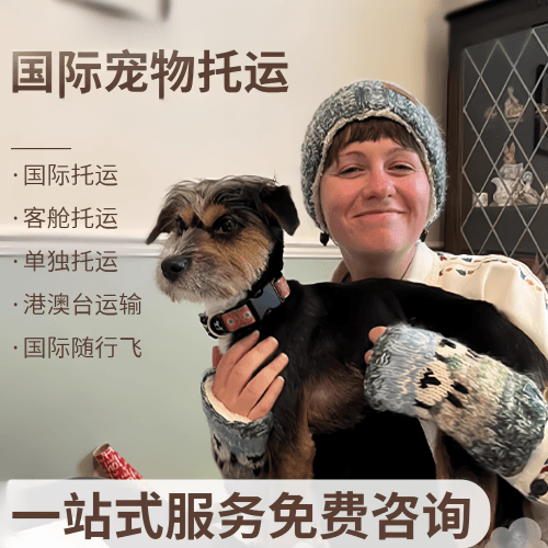 达州市国际宠物托运到阿根廷宠物入境规定和要