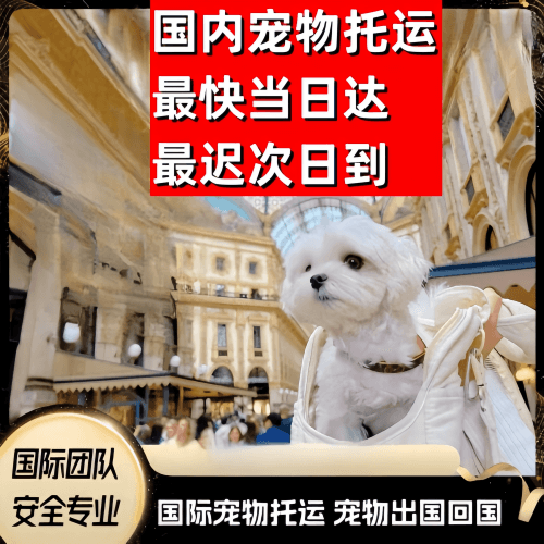 达州市到澳大利亚（澳洲）宠物入境规定和要求