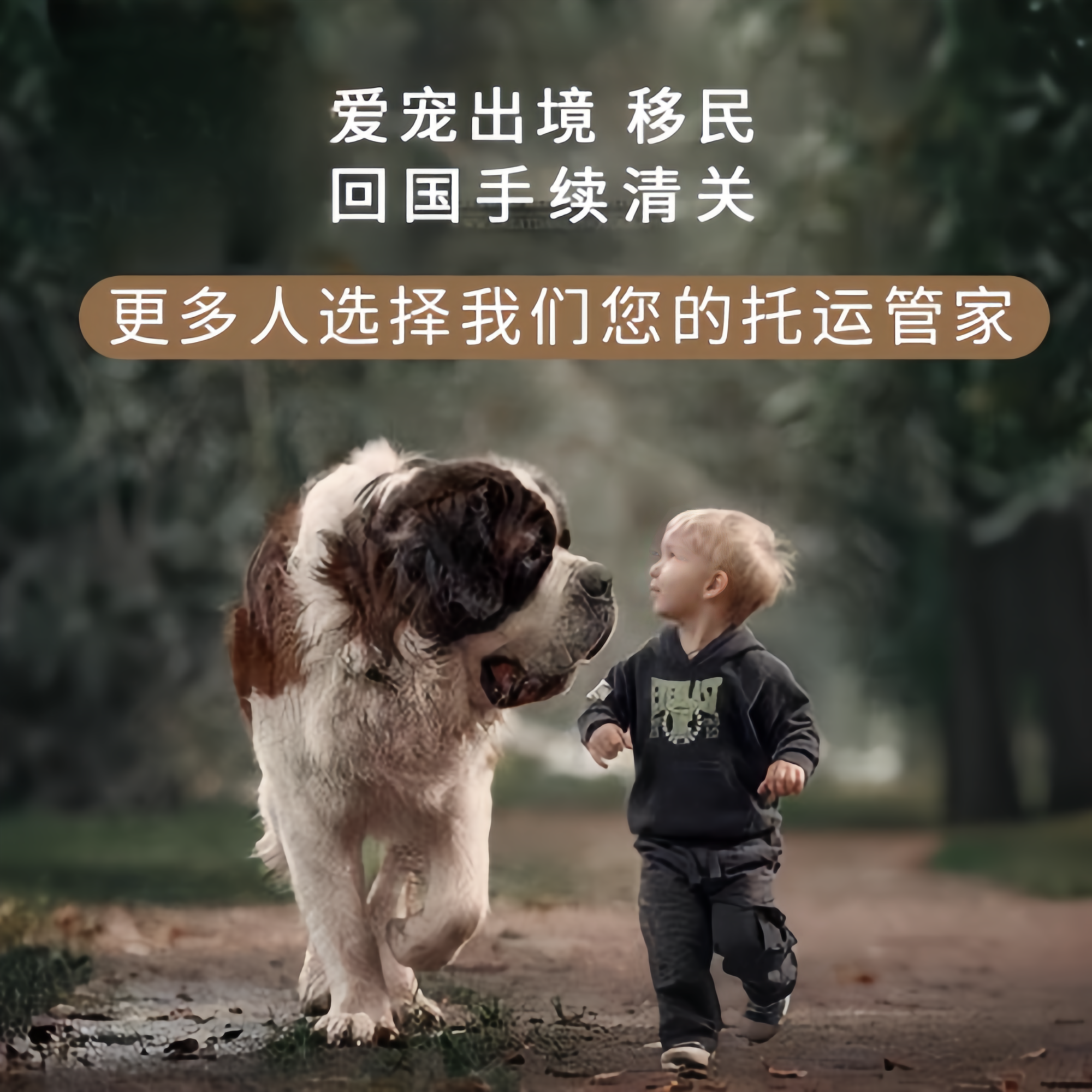 满财达州市宠物全球达宠物托运在遵守入境目的地政策的条件