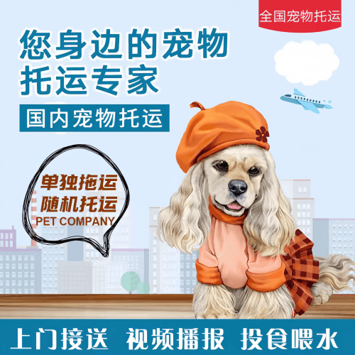 满财达州市宠物全球达宠物托运作为专业的宠物运输代理机构